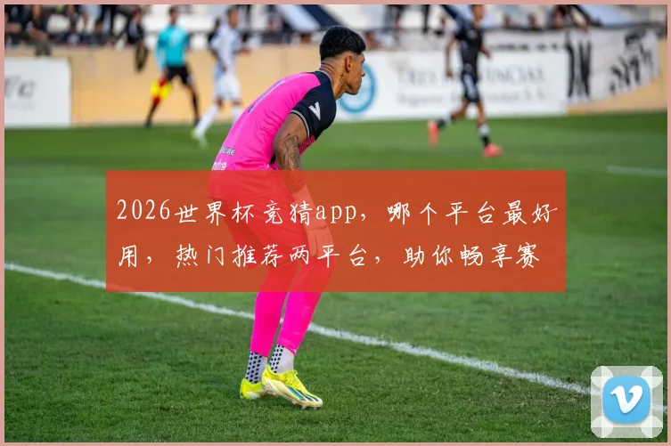 2026世界杯竞猜app，哪个平台最好用，热门推荐两平台，助你畅享赛事乐趣